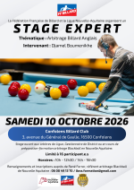 Stage Expert - Arbitrage Billard Anglais